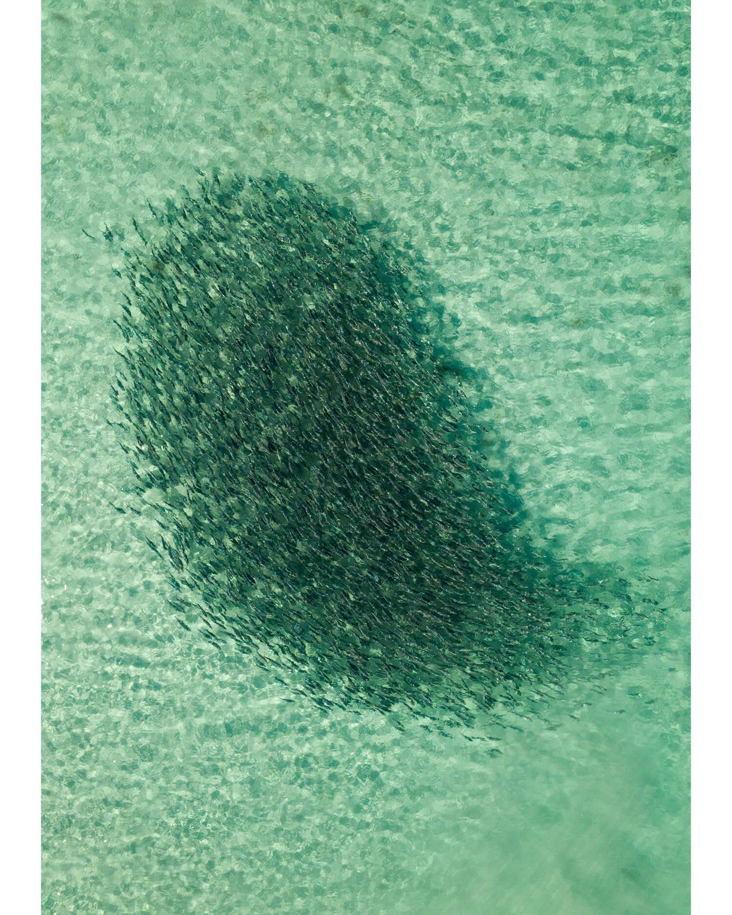 Azure Co - Landscape and Surf Photography, Smiths Beach Western Australia