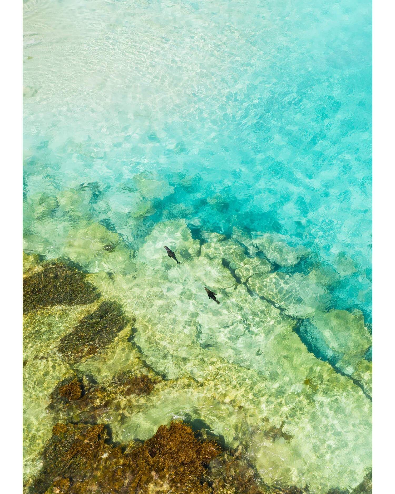 Azure Co - Landscape and Surf Photography, Smiths Beach Western Australia