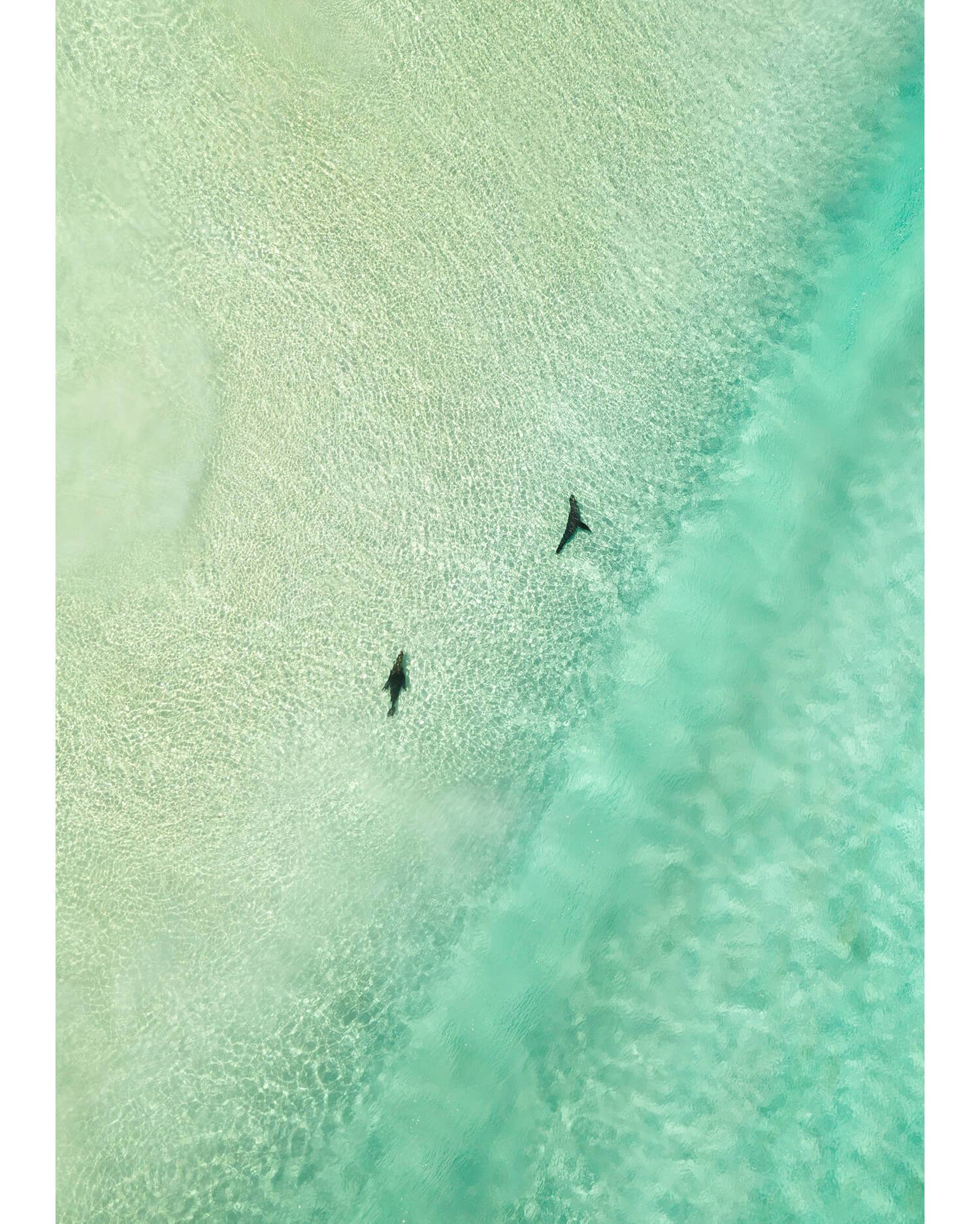 Azure Co - Landscape and Surf Photography, Smiths Beach Western Australia